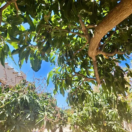 דירה Riscotierra *